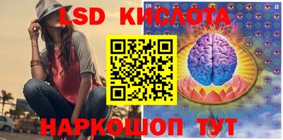 СК Шахты