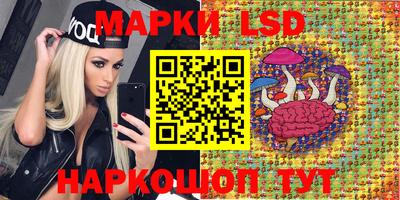 apvp Шелехов