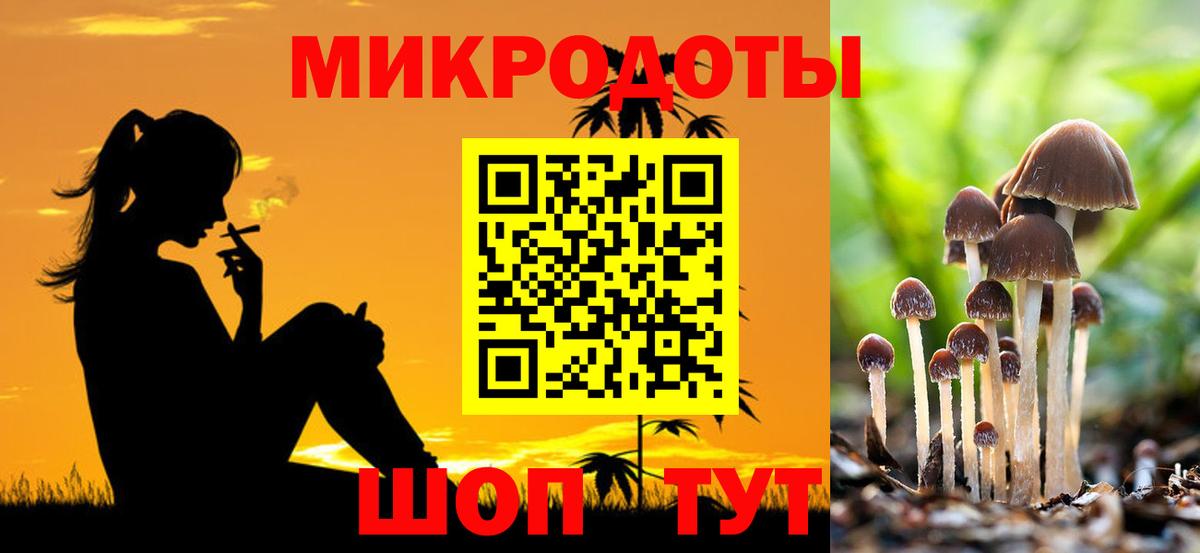Галлюциногенные грибы Psilocybine cubensis  Псилоцибиновые грибы Magic Shrooms  Бийск  Вход с VPN 