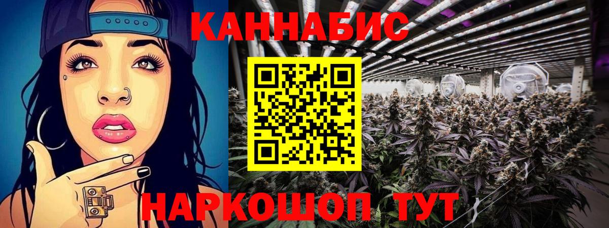 Бийск  Каннабис OG Kush  Бошки Шишки ГИДРОПОН  Конопля семена  Вход с VPN 